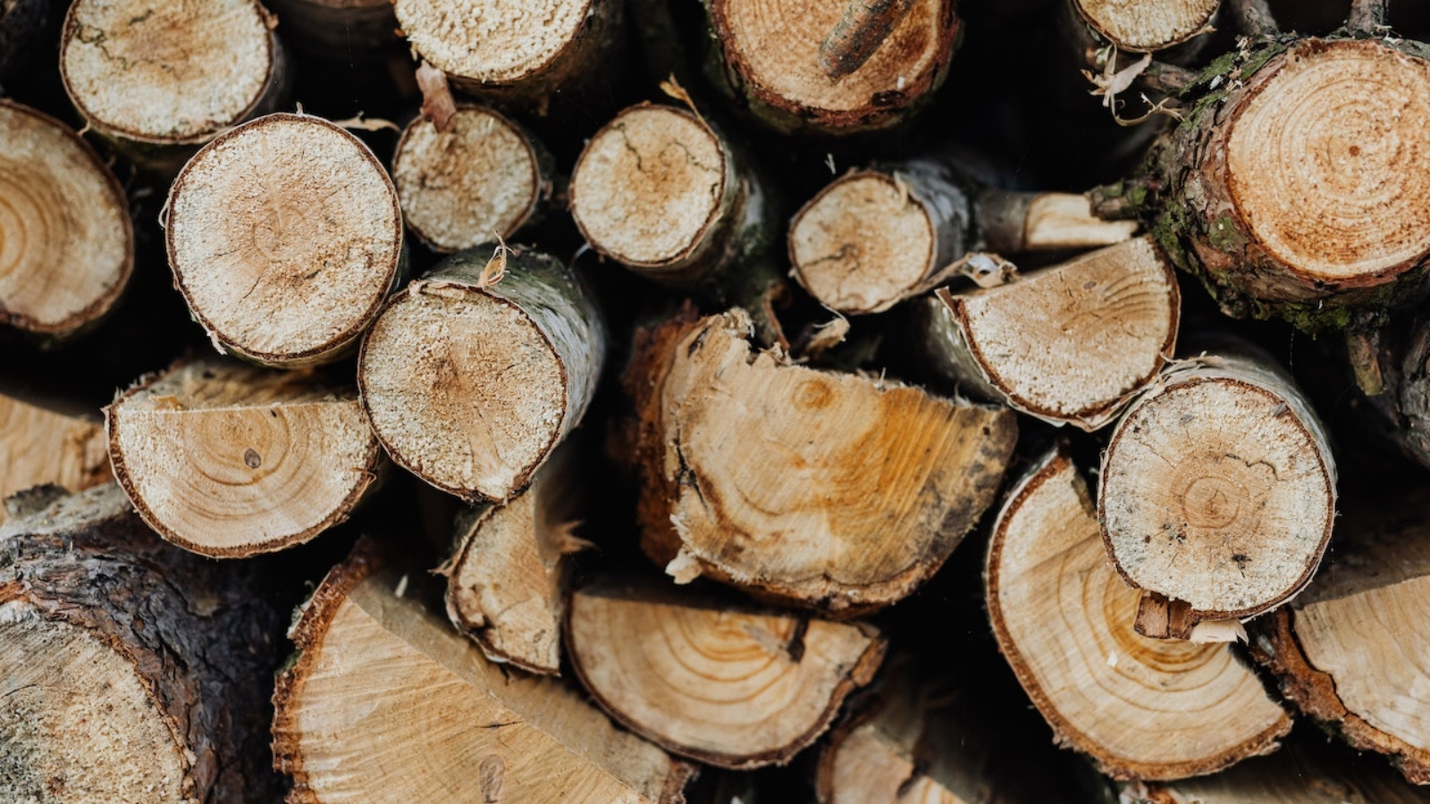 Raw Materials