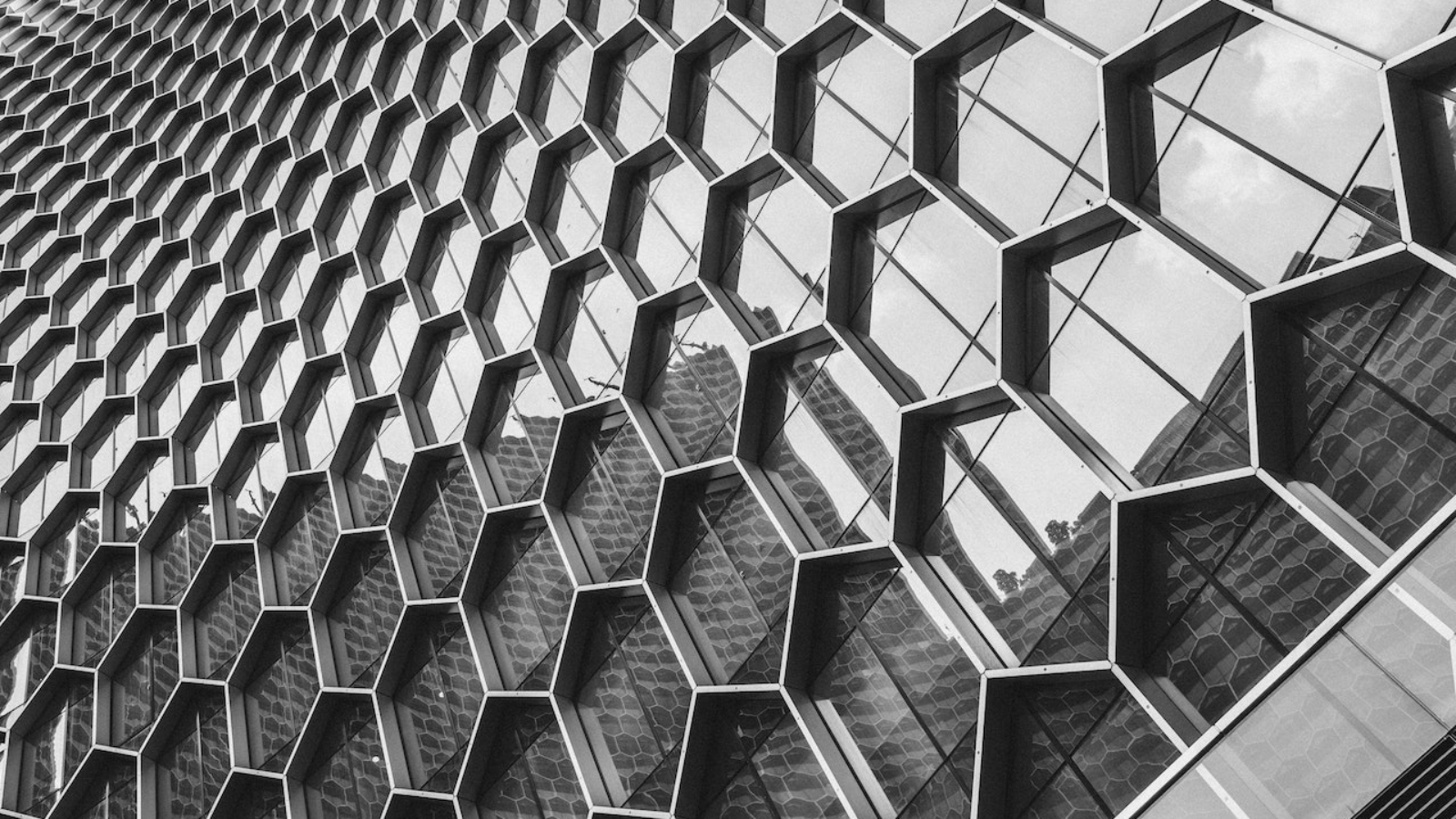 pexels-soloman-soh-1492232