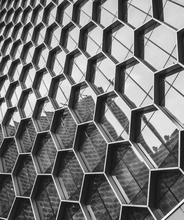 pexels-soloman-soh-1492232