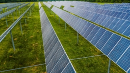 pexels-kelly-1179532-4320473