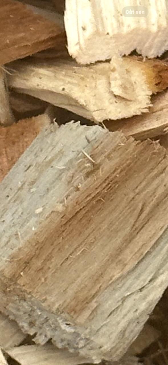 Shaving Wood - الصورة 2
