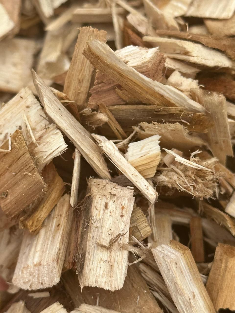 Shaving Wood