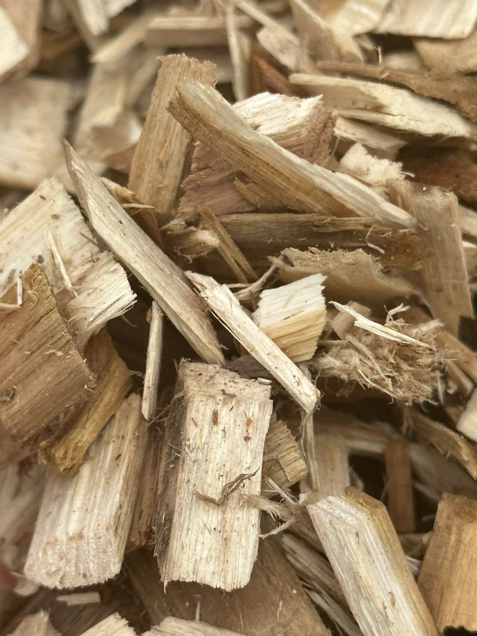 Shaving Wood