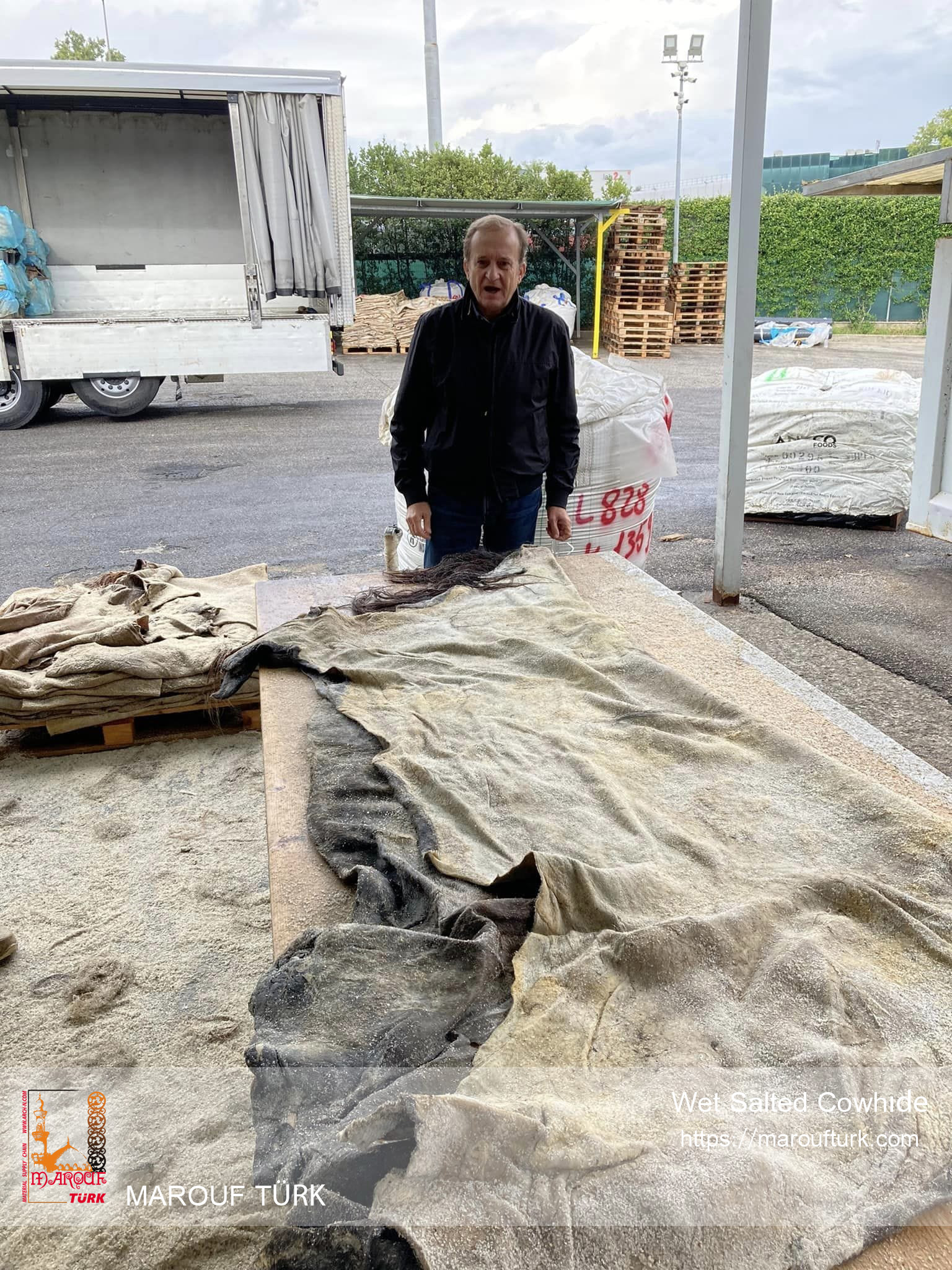 Wet salted cowhide laid out for inspection