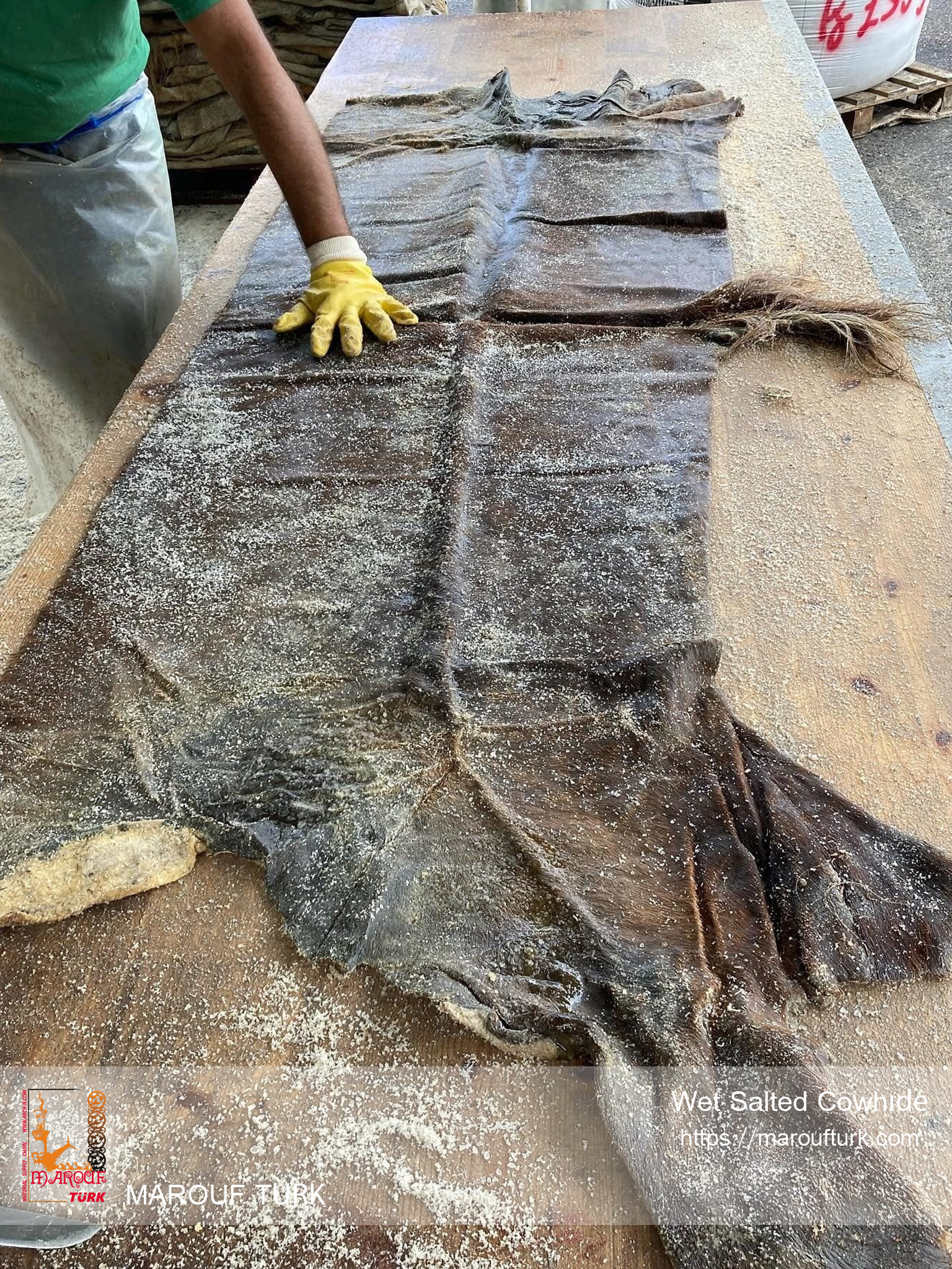 Wet salted cowhide reverse side on a work surface