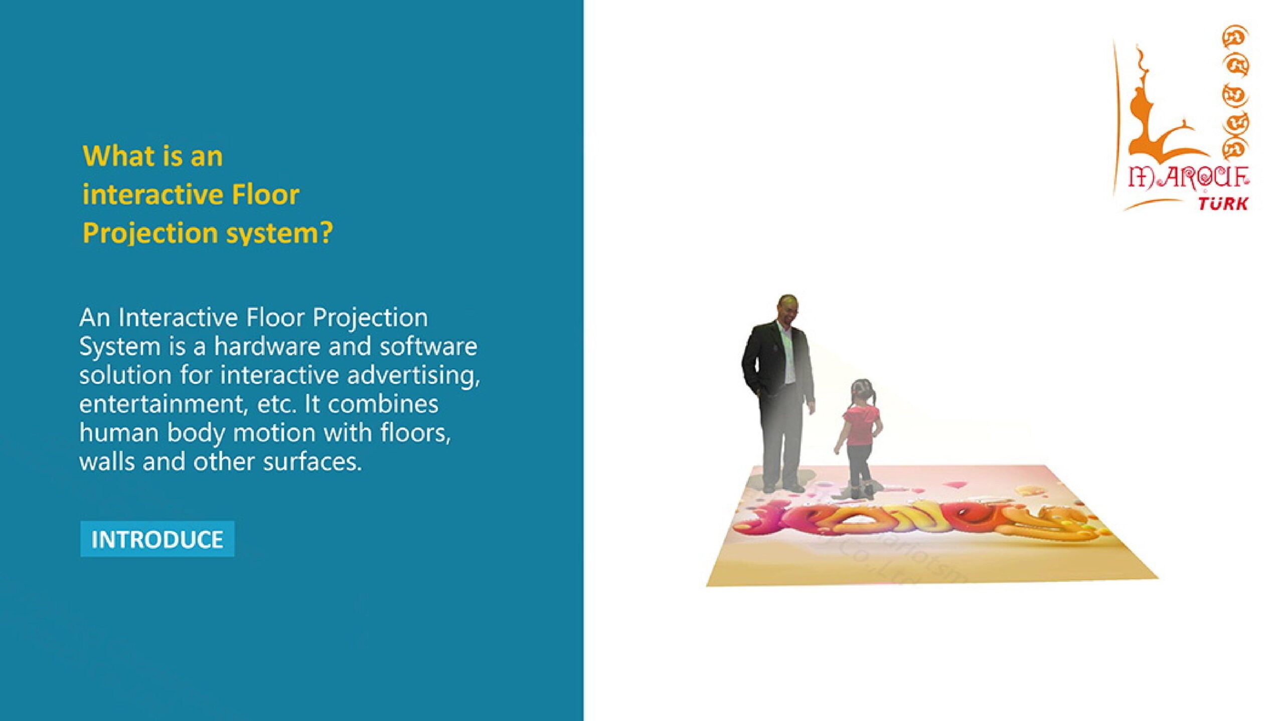 Hologram System