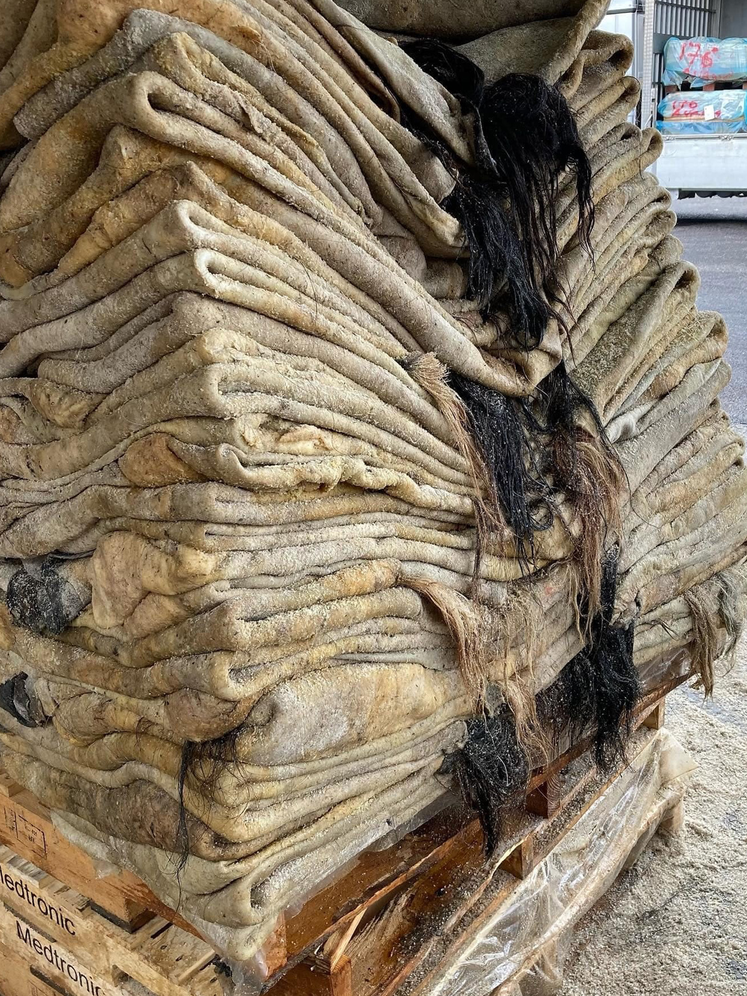 Folded wet salted cowhides in storage