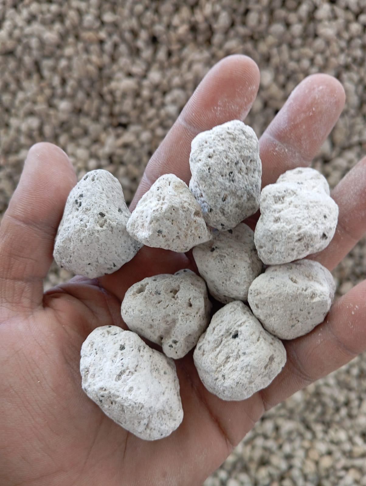 Pumice Stone