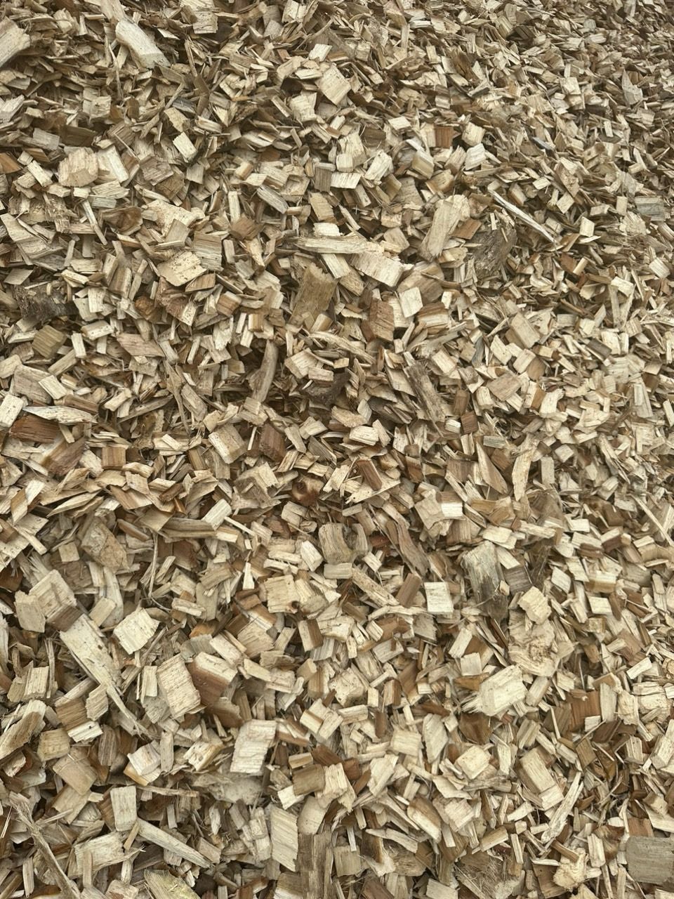 Shaving Wood - الصورة 4