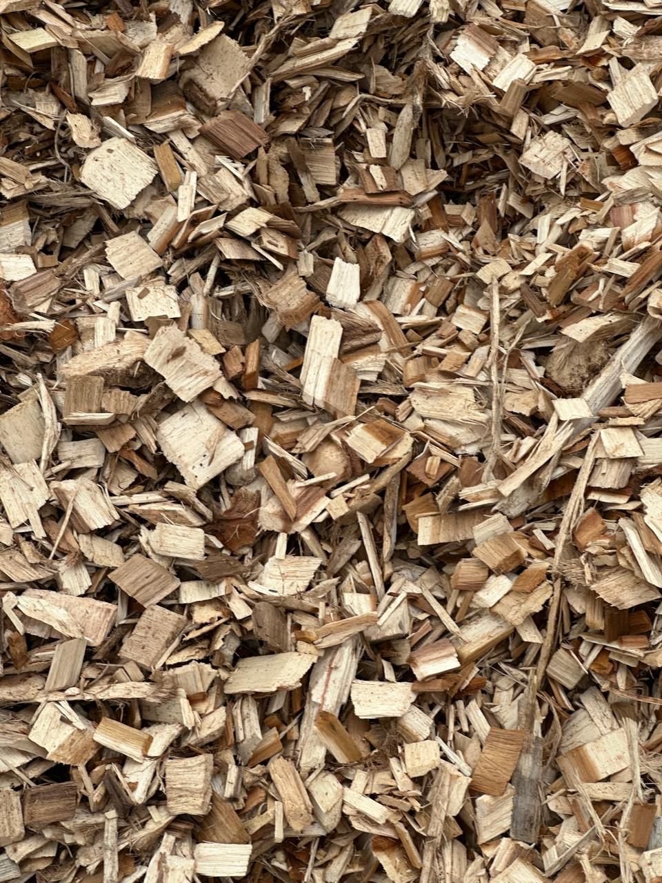 Shaving Wood