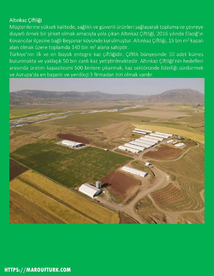 Altınkaz integrated goose farm in Elazığ, Turkey